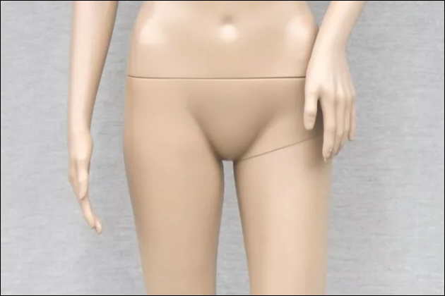 ���1���͂ǂ�ȃ_�b�`���C�t�������̂��H���p�������1���̐^��